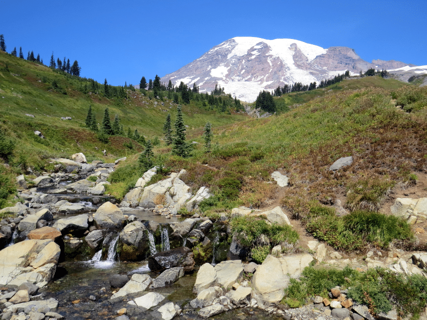 Washington National Parks: Which One Should You Visit?