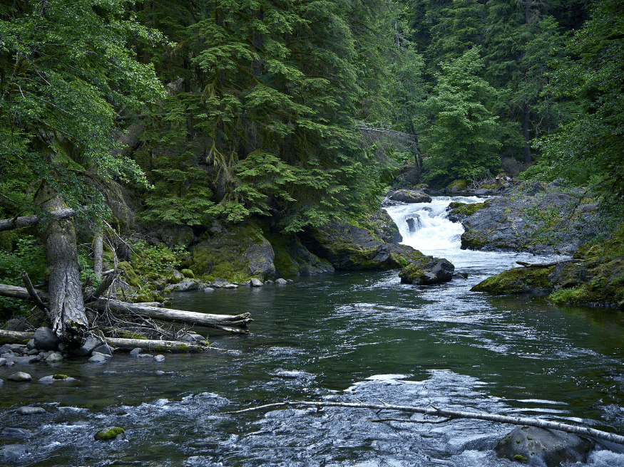 Washington National Parks: Which One Should You Visit?