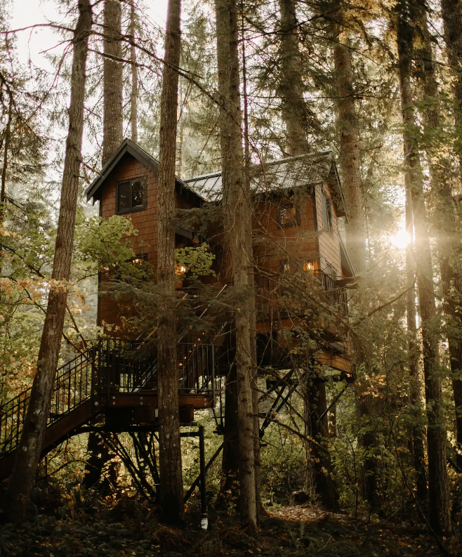 The 16 Best Treehouse Rentals in Washington State