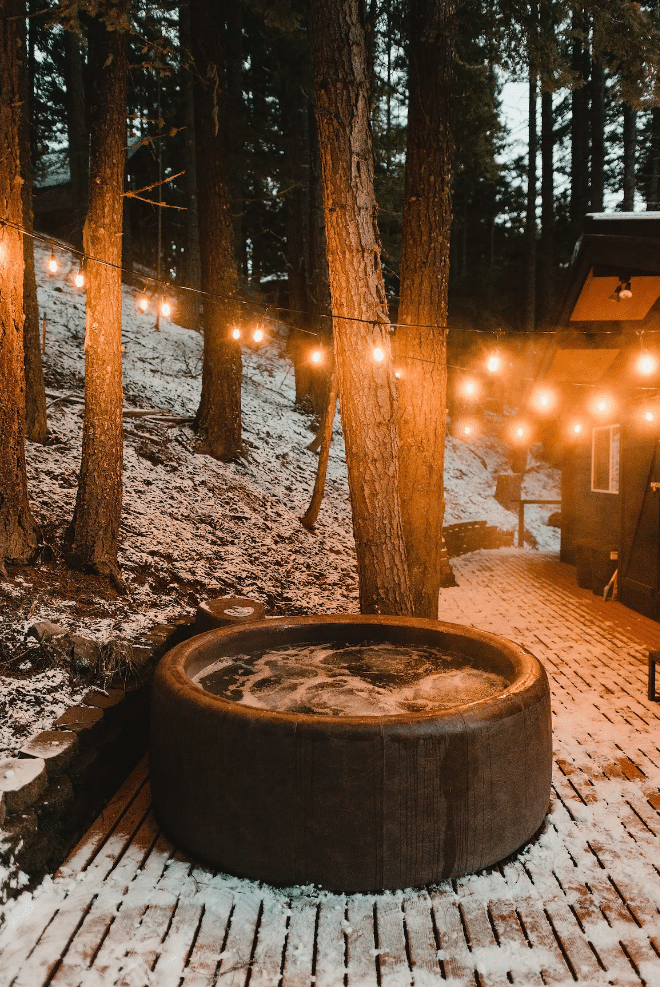 The 16 Best Treehouse Rentals in Washington State