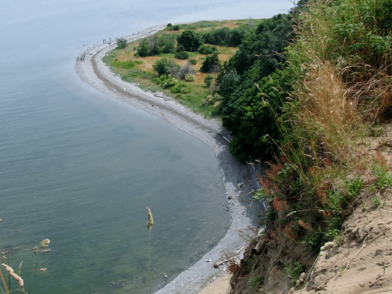 Point Roberts, Washington: Fun Activities to Do in This Charming ...