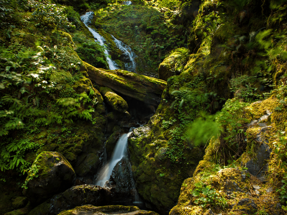 15 Swoon-Worthy Washington Coastal Towns You Need To Visit