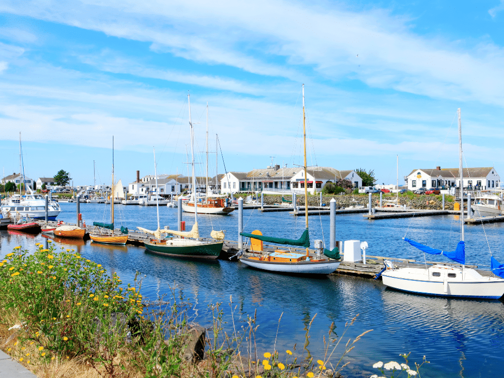 15 Swoon-Worthy Washington Coastal Towns You Need To Visit