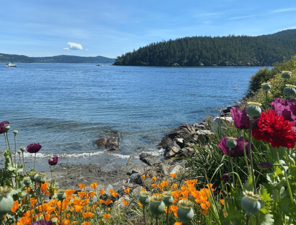 20 Incredible Weekend Trips From Seattle (Less Than 4 Hours Away)