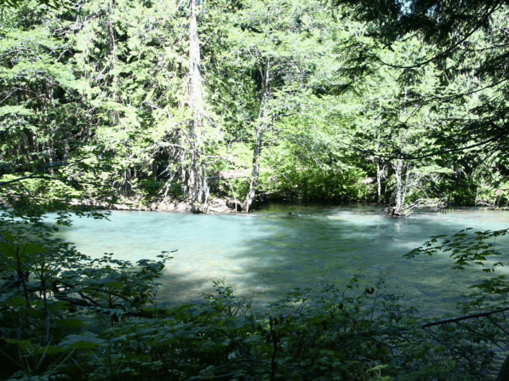 Top 12 Hot Springs in Washington to Soak in Nature's Bliss